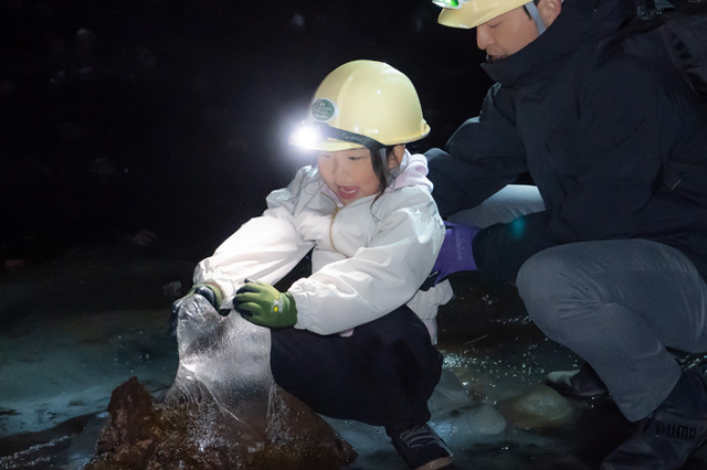 鬱蒼とした樹海と真っ暗な洞窟を探検！命が芽生え、時が育む自然には発見がいっぱいでした