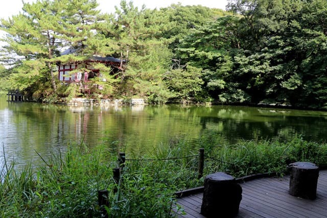 武蔵野の自然が残る石神井公園を散策！石神井池・三宝寺池の周辺見どころを紹介