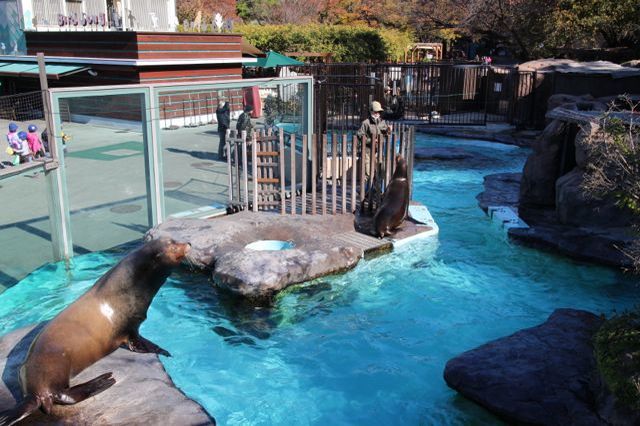 上野動物園を2時間で思いっきり満喫！時間がなくても楽しめる方法教えます