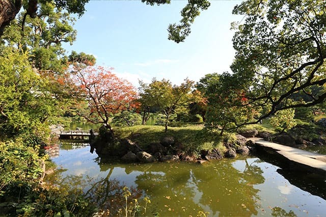 清澄庭園を楽しみ尽くす完全ガイド！美しい庭園を回りながら見どころを紹介