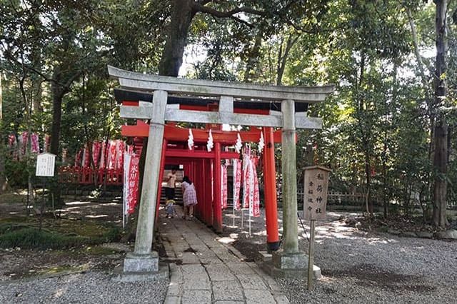 日本一長い参道がある神社！武蔵一宮氷川神社の見どころとパワースポットを紹介