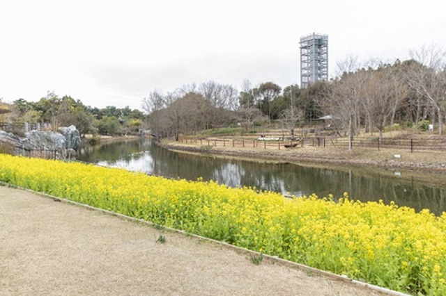 【写真映えスポットもいっぱい】四季折々の花が咲き誇る！浜名湖ガーデンパークを徹底レポート