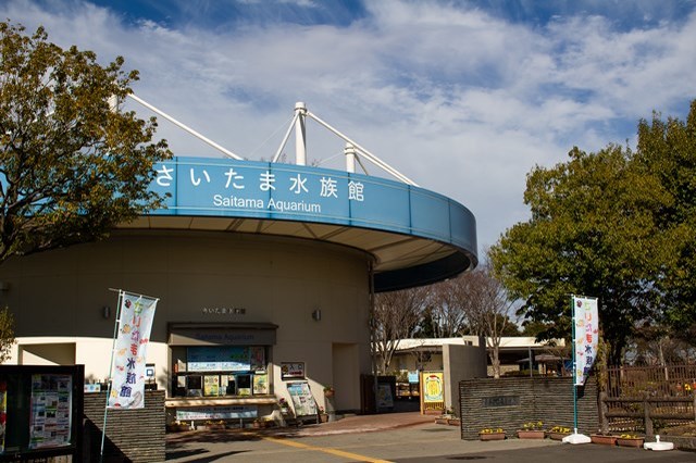 【徹底取材】さいたま水族館の魅力解説！ アクセスから周辺の観光地情報まで