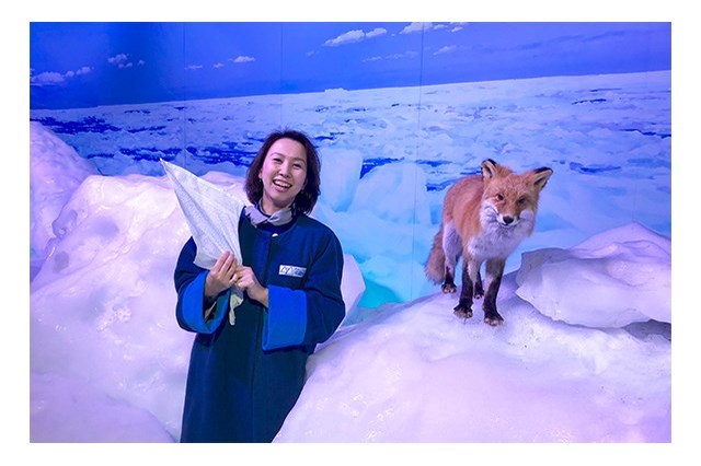 北海道 水族館 5選！観光にオススメの人気水族館