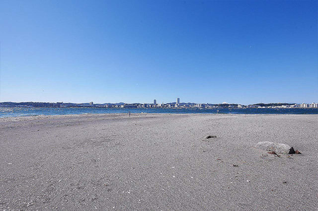 都心から日帰りで行ける無人島！「猿島」で神秘の自然と史跡巡りを堪能しよう