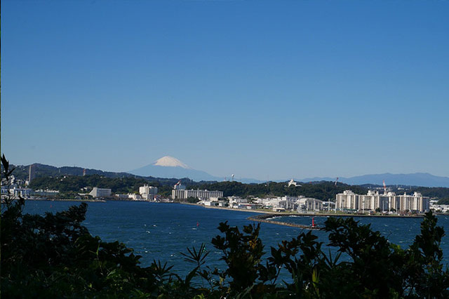 都心から日帰りで行ける無人島！「猿島」で神秘の自然と史跡巡りを堪能しよう