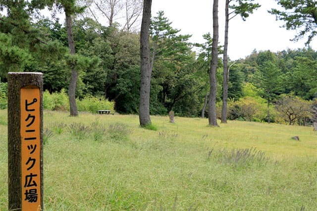 子どもの遊び場の宝庫！こども自然公園の見どころを徹底レポート