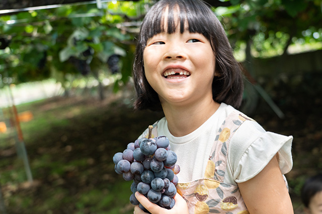 ぶどうが食べ放題でジュースまでつくれる！今まで味わったことがないおいしさに出会えて親子でビックリしてきました【あそびチャレンジ#08 ぶどう狩り編】