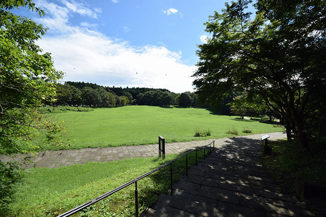 数多くのアートに心躍る！宇都宮美術館の魅力をご紹介