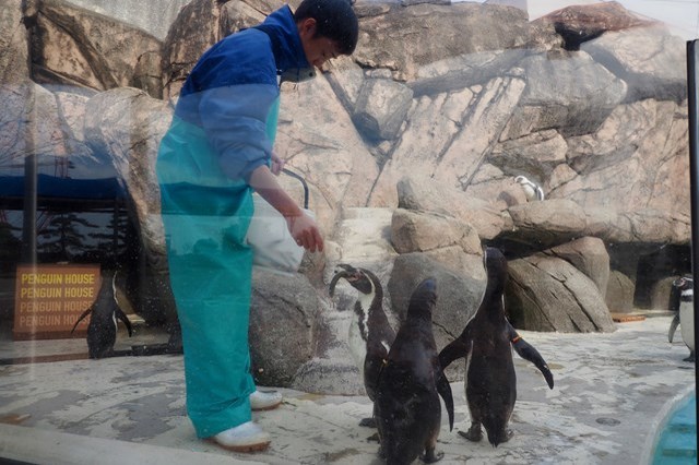 【徹底取材】日本最古の水族館、魚津水族館を100倍楽しむためのガイド！