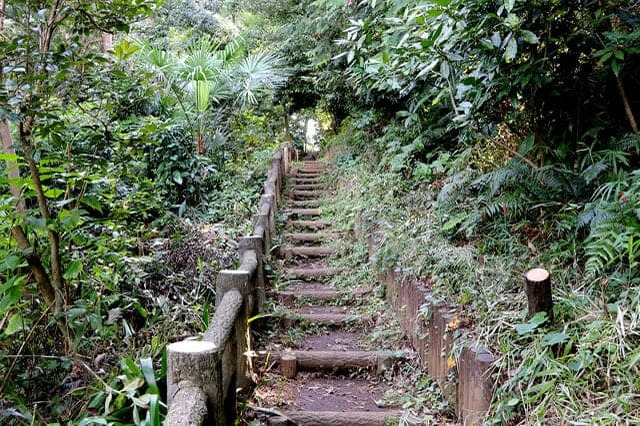 武蔵野の自然が残る石神井公園を散策！石神井池・三宝寺池の周辺見どころを紹介