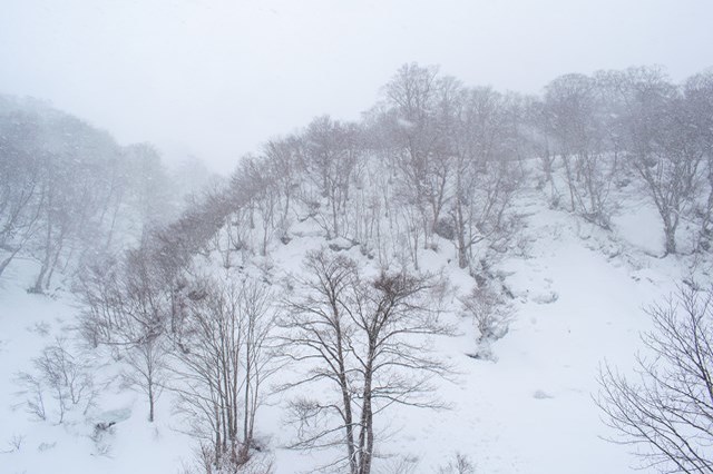 【体験記事】群馬・みなかみの雪山をハイキング！みんなで楽しめるスノーシュー体験！