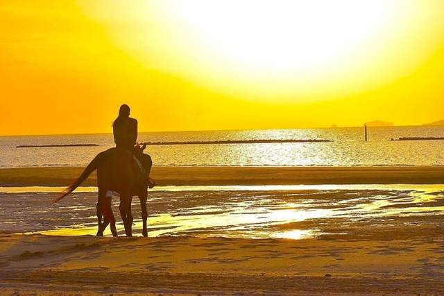 乗馬しながら夕日の海岸線をお散歩！瀬戸内で「やってみたい」を叶える贅沢グランピングへ