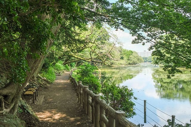 井の頭恩賜公園をぐるり一周散歩！歩いて見つけた注目スポットをご紹介