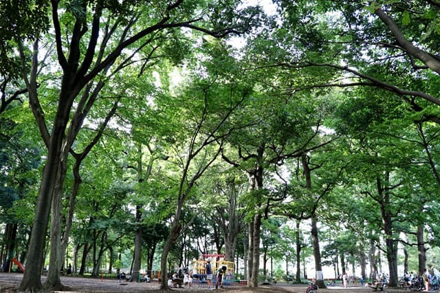 武蔵野の自然が残る石神井公園を散策！石神井池・三宝寺池の周辺見どころを紹介