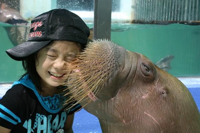 【オススメ3選】三重 水族館を満喫！ペンギンやマンボウのいる人気アクアリウムを紹介！