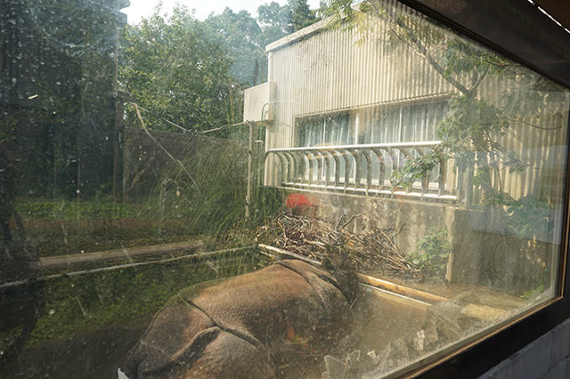 ここでしか見られない希少動物の宝庫！ 横浜「金沢動物園」を徹底解説