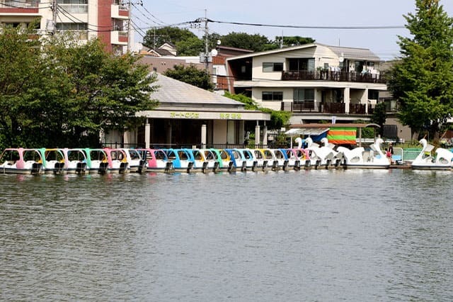 武蔵野の自然が残る石神井公園を散策！石神井池・三宝寺池の周辺見どころを紹介