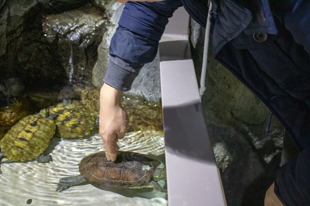 【徹底取材】さいたま水族館の魅力解説！ アクセスから周辺の観光地情報まで