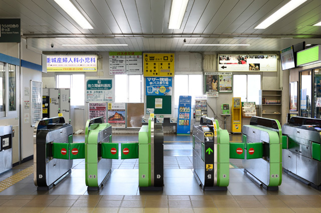 かわいい動物たちとのふれあいがいっぱい！ 一日中思いっきり遊べる「マザー牧場」に行こう