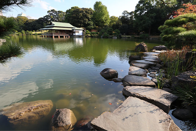 清澄庭園を楽しみ尽くす完全ガイド！美しい庭園を回りながら見どころを紹介