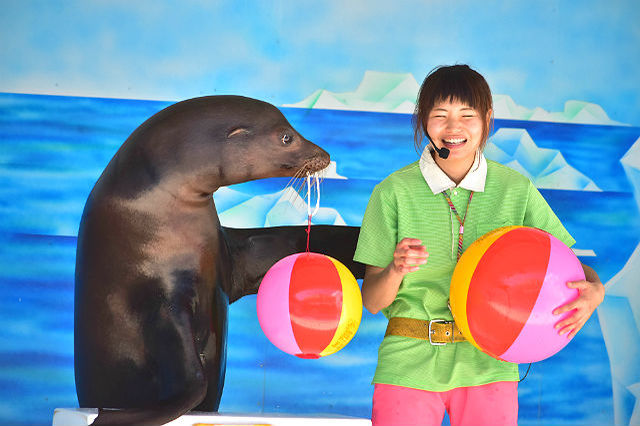 【割引あり】東北サファリパークの魅力を徹底解剖！動物たちのショーやエサやり、食事情報まで