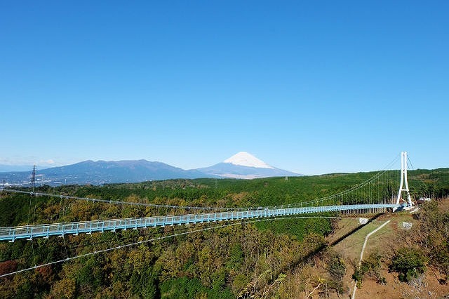 【徹底解説】三島スカイウォークでインスタ映えを狙おう！料金・アクセス・混雑情報も