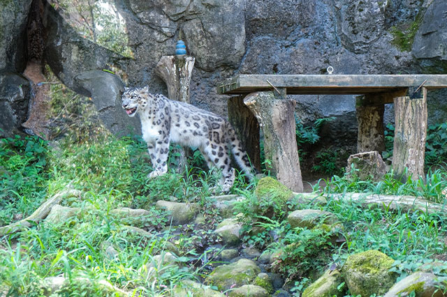 多摩動物公園で会えてよかった15種の動物たち