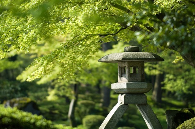 【金沢観光】兼六園の魅力 お得な割引情報から周辺のランチ情報まで