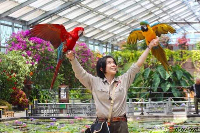 【割引あり】神戸どうぶつ王国の魅力を徹底解剖！ショーから触れ合い、花の情報など楽しむガイド