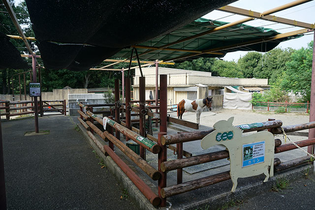 ここでしか見られない希少動物の宝庫！ 横浜「金沢動物園」を徹底解説