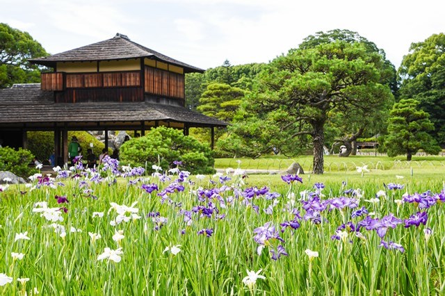 【徹底解説】岡山の名所「後楽園」の魅力とは！歴史的な建造物の紹介から料金・クーポン情報まで