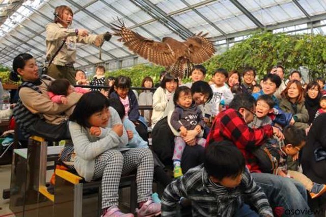 【割引あり】神戸どうぶつ王国の魅力を徹底解剖！ショーから触れ合い、花の情報など楽しむガイド