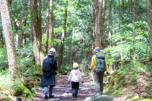 鬱蒼とした樹海と真っ暗な洞窟を探検！命が芽生え、時が育む自然には発見がいっぱいでした