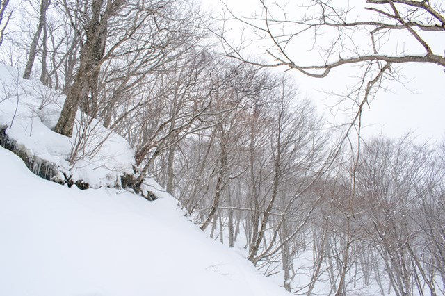 【体験記事】群馬・みなかみの雪山をハイキング！みんなで楽しめるスノーシュー体験！