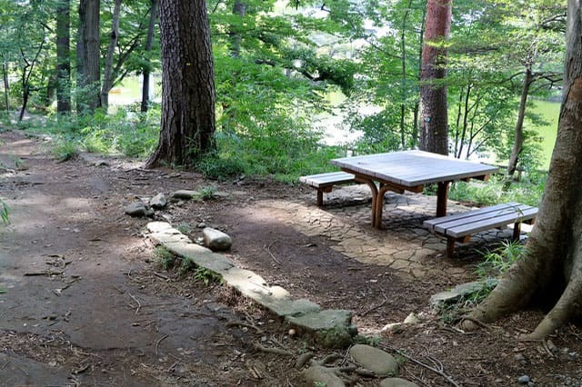 武蔵野の自然が残る石神井公園を散策！石神井池・三宝寺池の周辺見どころを紹介