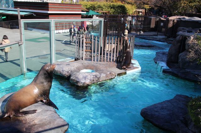 上野動物園を2時間で思いっきり満喫！時間がなくても楽しめる方法教えます