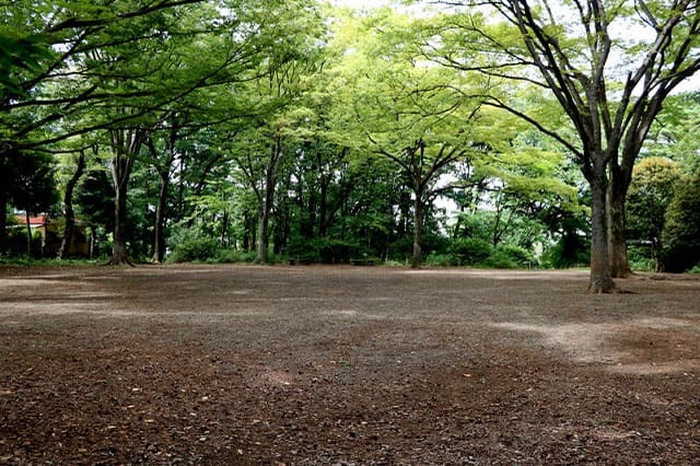 武蔵野の自然が残る石神井公園を散策！石神井池・三宝寺池の周辺見どころを紹介