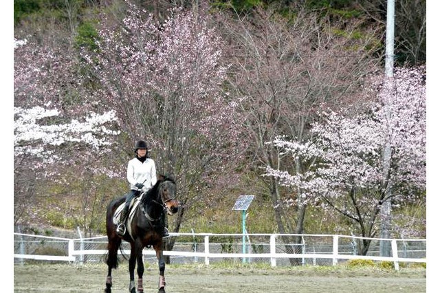 【徹底解説】大内宿 アクセスや駐車場情報、周辺の観光スポットまで