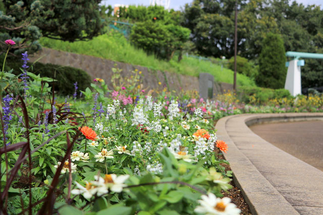 港の見える丘公園の見どころ&定番観光「西洋館巡り」を紹介