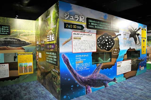 水族館で古代生物＆恐竜に会える！？生きもの図鑑の中を探検できちゃう「カワスイ」で古代にタイムスリップ【神奈川】