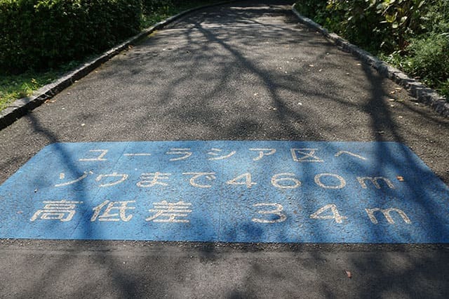 ここでしか見られない希少動物の宝庫！ 横浜「金沢動物園」を徹底解説