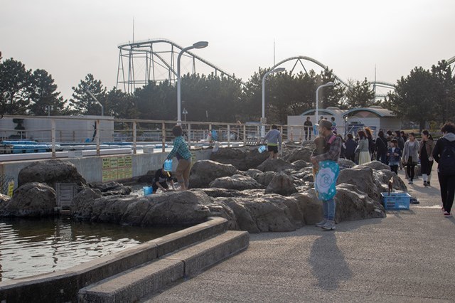 【徹底取材】横浜・八景島シーパラダイスの魅力！デートやファミリーなど様々な楽しみ方を紹介！