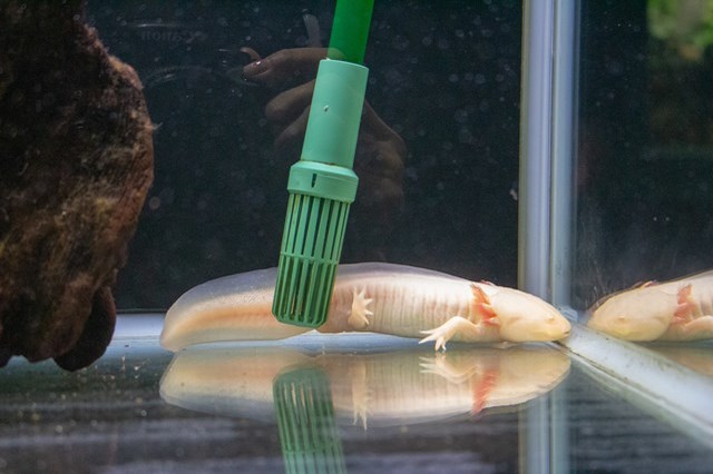 【徹底取材】さいたま水族館の魅力解説！ アクセスから周辺の観光地情報まで