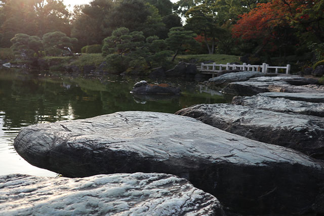 清澄庭園を楽しみ尽くす完全ガイド！美しい庭園を回りながら見どころを紹介