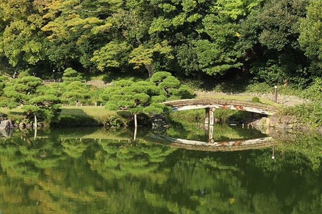 清澄庭園を楽しみ尽くす完全ガイド！美しい庭園を回りながら見どころを紹介