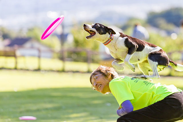 世界の名犬牧場の遊び方・おすすめスポット・人気のお土産をレポート！珍しいワンちゃんにも会えるのも魅力！