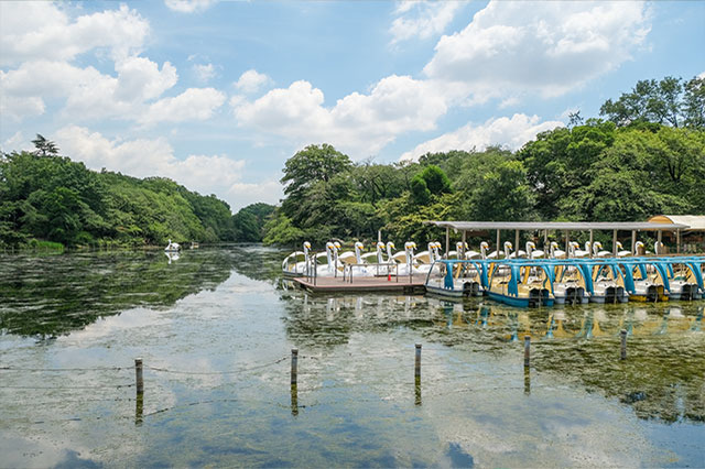 井の頭恩賜公園をぐるり一周散歩！歩いて見つけた注目スポットをご紹介