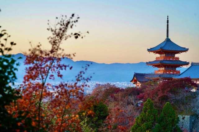 自分好みの京都旅がラクちん簡単◎ 貸切観光タクシーで巡る【秋の京都＜三十三間堂〜清水寺＞】1.jpg