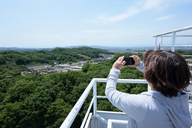 世界最大級のバラ園！花フェスタ記念公園を徹底レポート